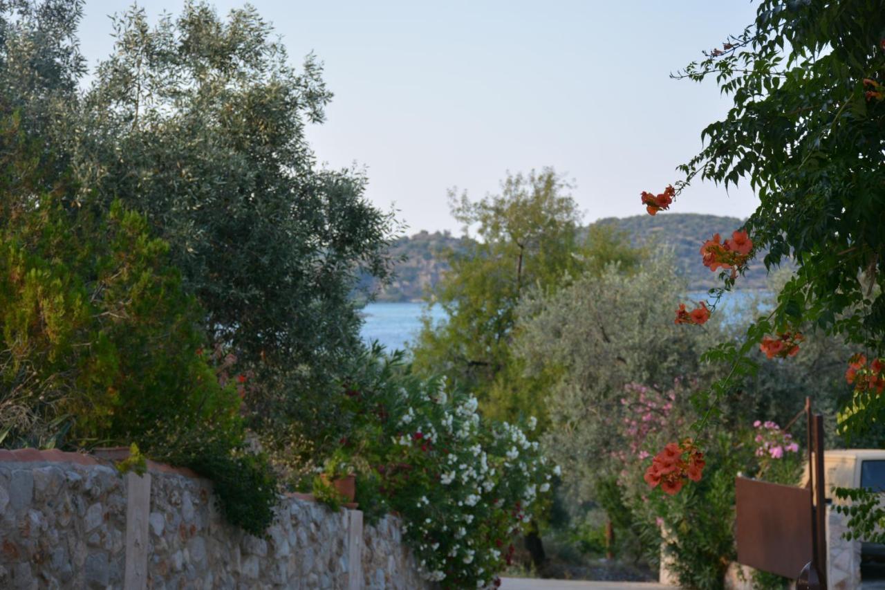 Aristotelis Epidaurus Eksteriør bilde
