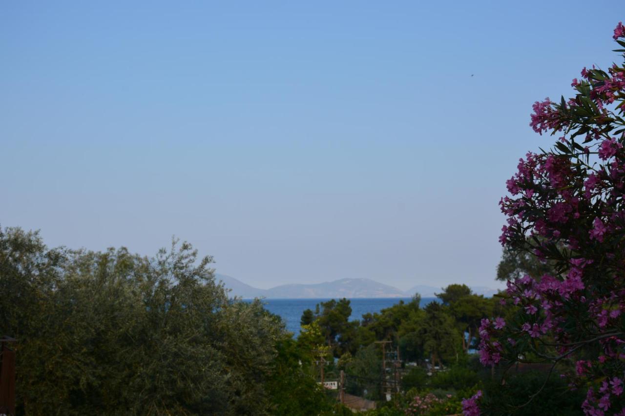 Aristotelis Epidaurus Eksteriør bilde